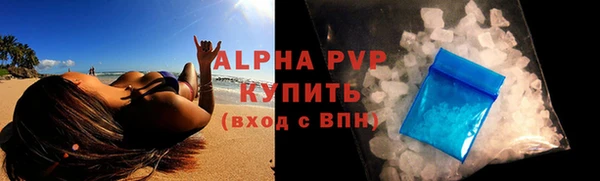 сатива Беломорск