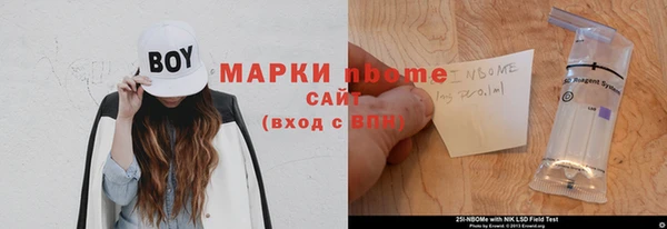 сатива Беломорск