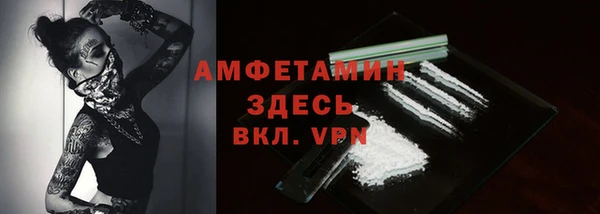 сатива Беломорск