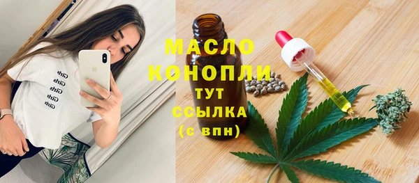 сатива Беломорск