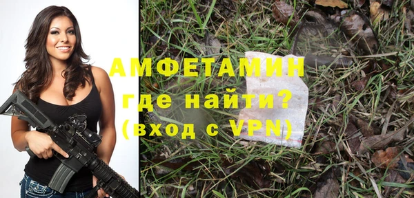 сатива Беломорск